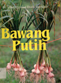 Bawang Putih