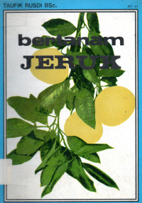 Bertanam Jeruk