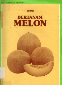 Bertanam Melon