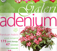 Galeri Adenium