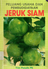 Peluang Usaha dan Pembudidayaan Jeruk Siam